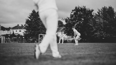 Cricket Health Benefits You Didn’t Know