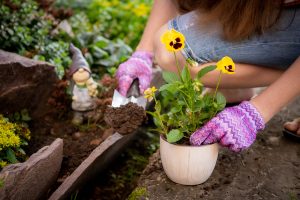 Woman's hands planting yellow flowers in the garden