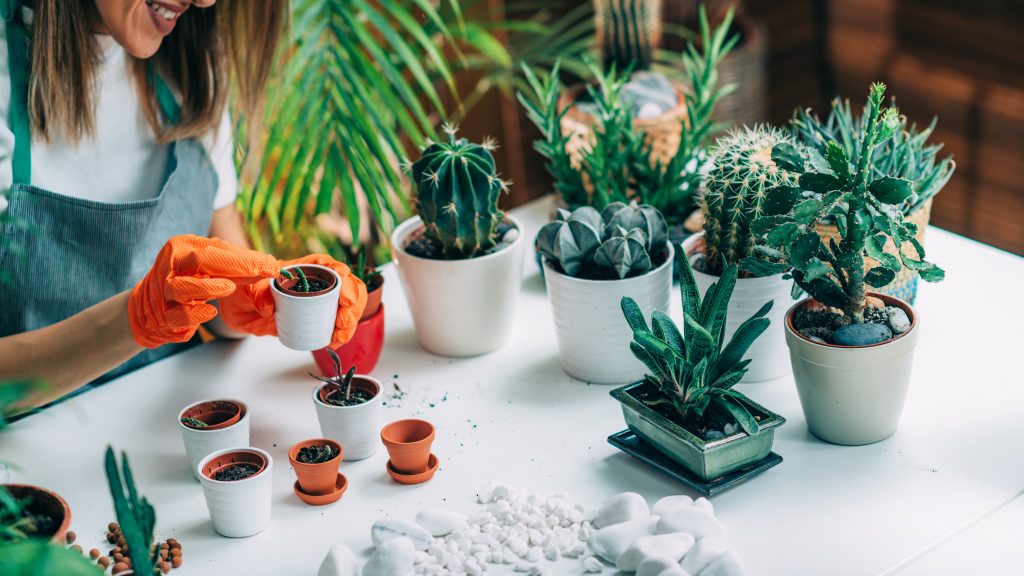 Indoor Botanical Gardens