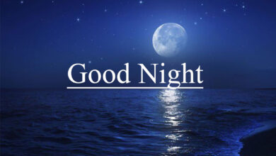 Good Night - Whatsapp DP Moon & SEA