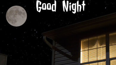 Good Night DP for whatsapp : Dark Night with Moon