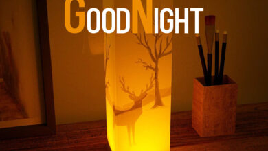 Good Night Pics for DP : Beautiful Lamp with Deer & Tree