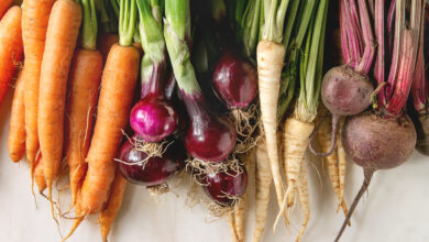 Photo of 6 Season Root Vegetables and its Nutritional Value