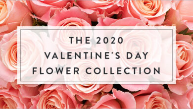 Photo of The 2020 Valentine’s Day Flower Collection