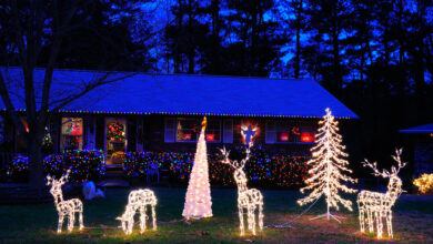 Photo of Interracial Couple Stopped By Fake Police While Looking At Decorations