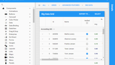 Photo of Flexible, Powerful DataGrad from Sencha