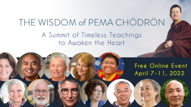 Photo of You’re Invited: FREE Wisdom of Pema Chödrön Online Summit