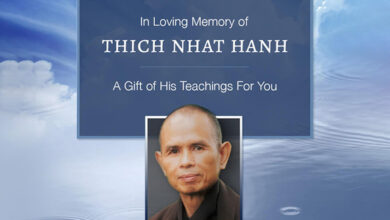 Photo of Free Thich Nhat Hanh Audio Series: Living Without Stress or Fear