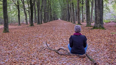 Photo of Practical Pathways to Inner Peace: A Free Video Series for Inner Calm