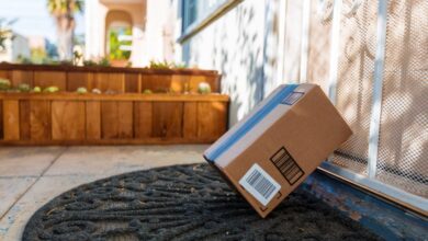 Photo of How to Stop Porch Pirates From Taking Your Holiday Packages