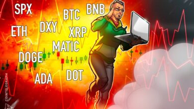 Photo of Price analysis 12/12: SPX, DXY, BTC, ETH, BNB, XRP, DOGE, ADA, MATIC, DOT