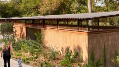 Photo of Austin’s Pease Park is revitalized to “integrate fun with nature”