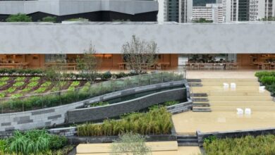 Photo of Snøhetta unveils “green lung” urban farm in Hong Kong