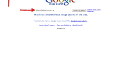 Photo of Check if Your Images Appear on Google Image Search