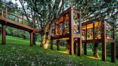 Photo of Studio MEMM creates Tree House for a family retreat in Brazil