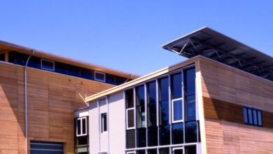 Photo of BTZ laboratory at TU Graz was the early home of mass-timber research