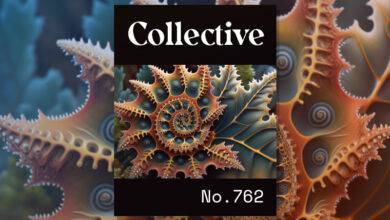 Photo of Collective #762