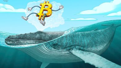 Photo of Bitcoin ‘mega whales’ send BTC price to $30K as volatility hits crypto