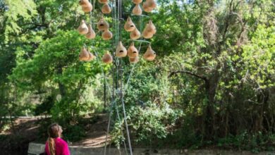 Photo of Snøhetta, Brooks + Scarpa among studios to create birdhouses in Texas