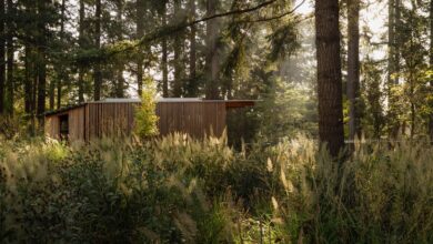 Photo of Oregon botanical garden updated by Land Morphology and Olson Kundig