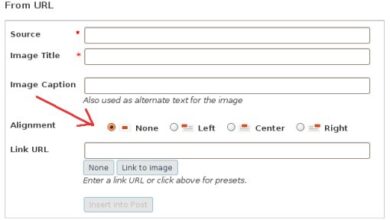 Photo of Now I See Why the WordPress Image Align Feature Was Not Working
