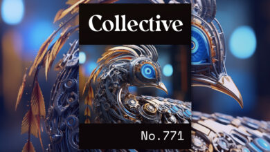 Photo of Collective #771