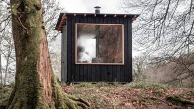 Photo of Out of the Valley clads prefabricated Forest Sauna in charred wood