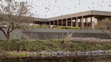 Photo of Reims 502 places pool atop basalt-clad Mexican home