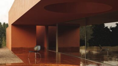 Photo of Balzar Arquitectos nestles La Casa de los Olivos into Valencian olive grove