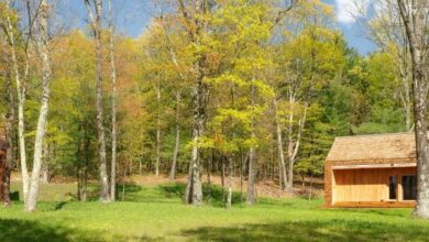 Photo of Kaja Kühl adds pair of hempcrete guesthouses to New York farm