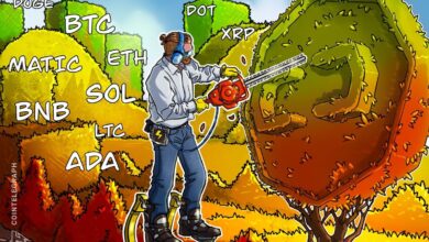 Photo of Price analysis 8/4: BTC, ETH, BNB, XRP, DOGE, ADA, SOL, MATIC, LTC, DOT