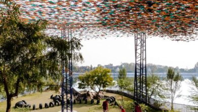 Photo of Studio Saar crowns Udaan Park with canopy of colourful birds