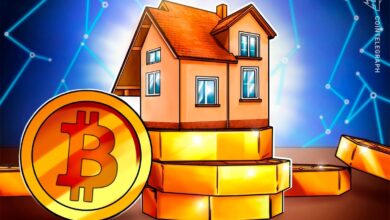 Photo of Real estate or Bitcoin: Which is more reliable?