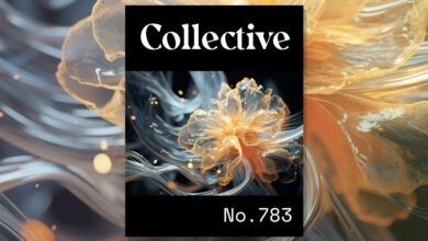 Photo of Collective #783