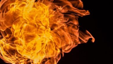 Photo of US scientists develop “nanoscale” coating to combat spread of fires