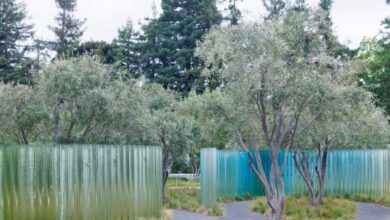 Photo of Zeller & Moye create glass sculpture Mirage at Apple Park