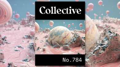 Photo of Collective #784