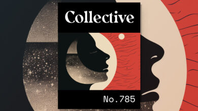 Photo of Collective #785