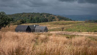 Photo of Cuddymoss by Ann Nisbet Studio named Scotland’s best new building