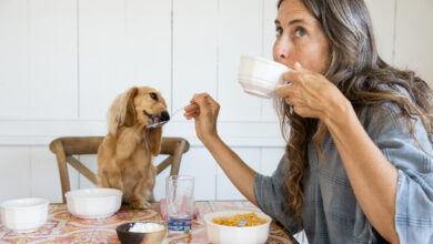 Photo of Can Dogs Have Almond Milk? – Dogster