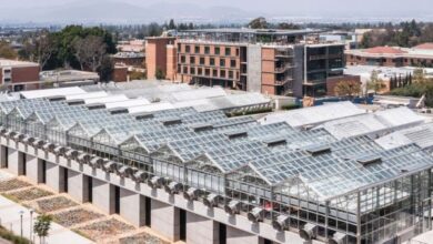 Photo of Perkins&Will crowns Californian research centre with greenhouses