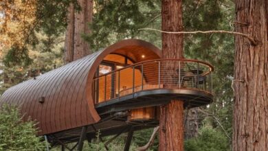 Photo of Artistree raises a telescopic treehouse in California