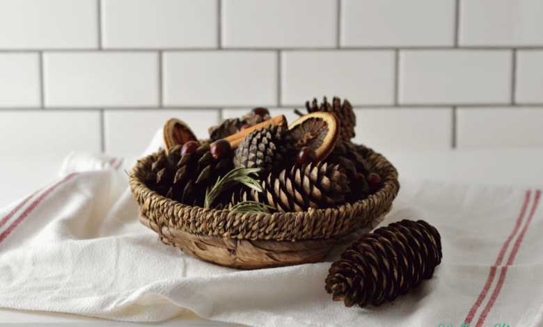 Photo of Tantalizing DIY Cinnamon Pine Cones