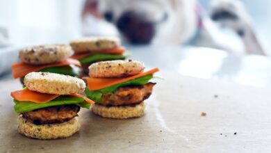 Photo of Mini Turkey Sliders – Dogster