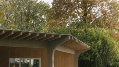 Photo of WE-S Architecten designs Belgian nursery to resemble a “garden pavilion”