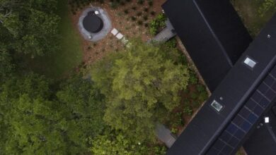 Photo of Tall Architects wraps X-shaped Alabama cabin in black metal